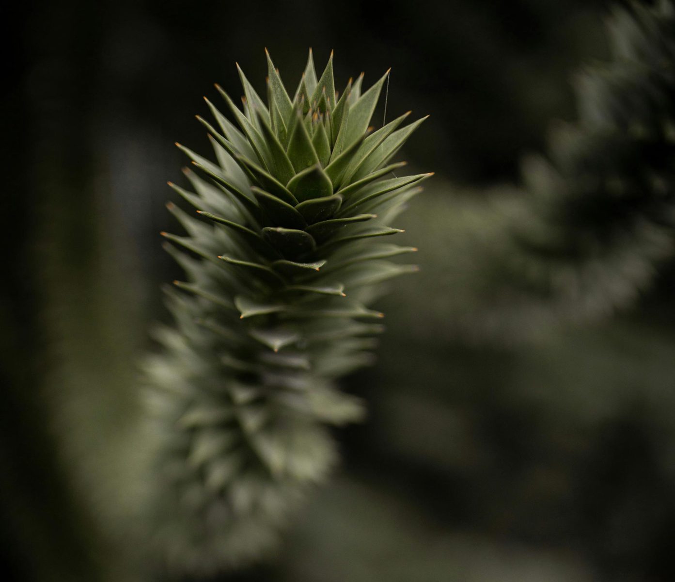 hero-plataforma-gestion hero-plataforma-gestion